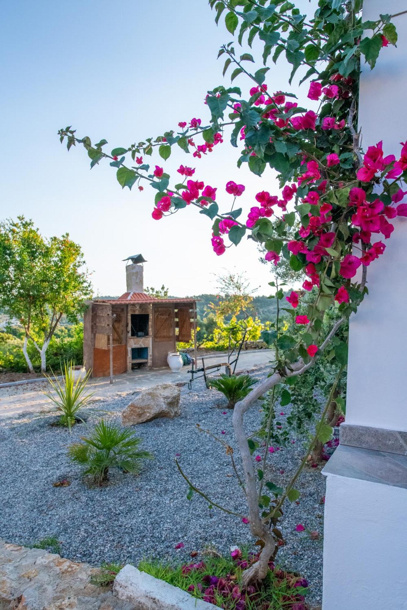 To Stolidi Tis Psinthou Villa Psinthos Dış mekan fotoğraf